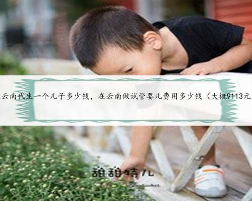 在云南代生一个儿子多少钱，在云南做试管婴儿费用多少钱（大概9113元）
