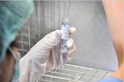 昆明供卵过程!怀孕2个月女人能同房吗