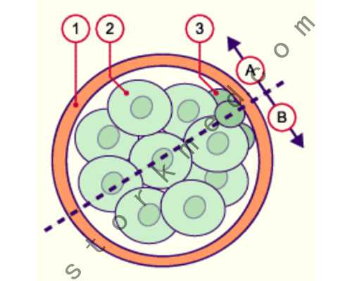 太原代生费用是多少